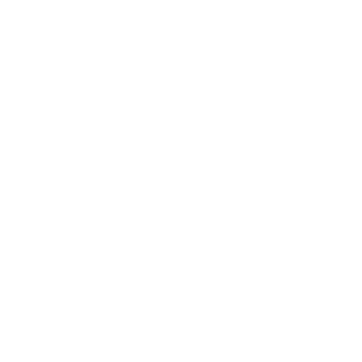 Globe Icon