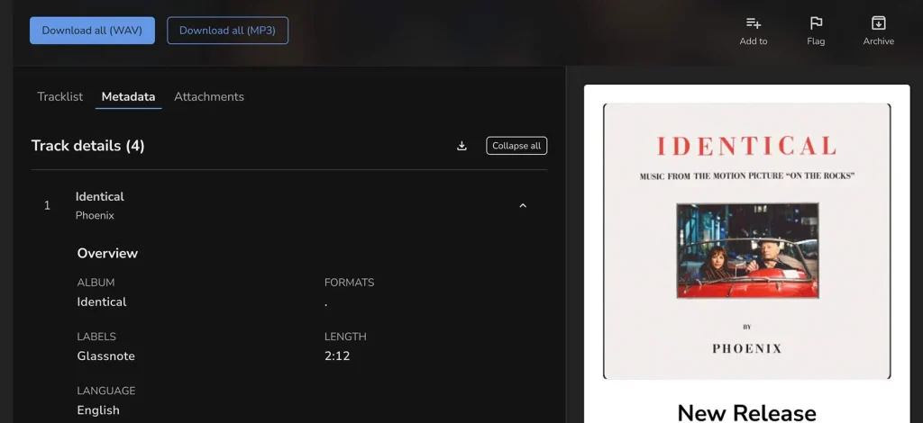 Player Metadata