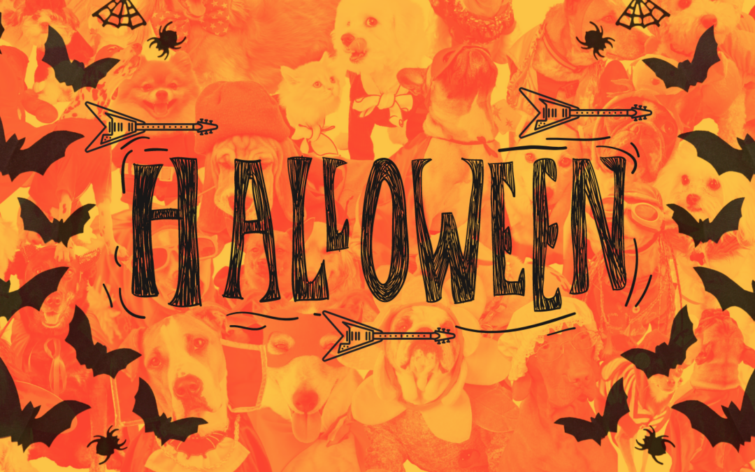 Halloween Playlist