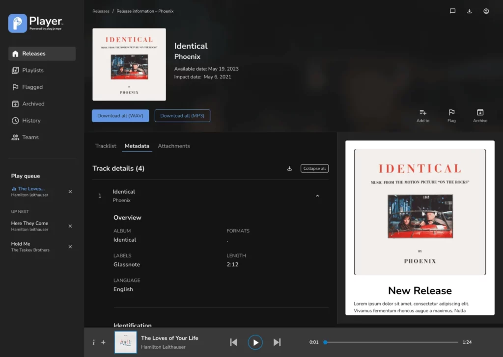 Player Metadata